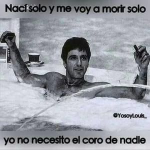 Meet your Posher, Pablo